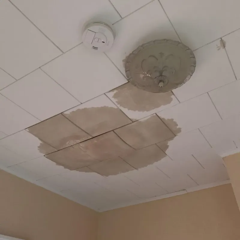 Ceiling Water Damage Repair in Jersey Village, TX
