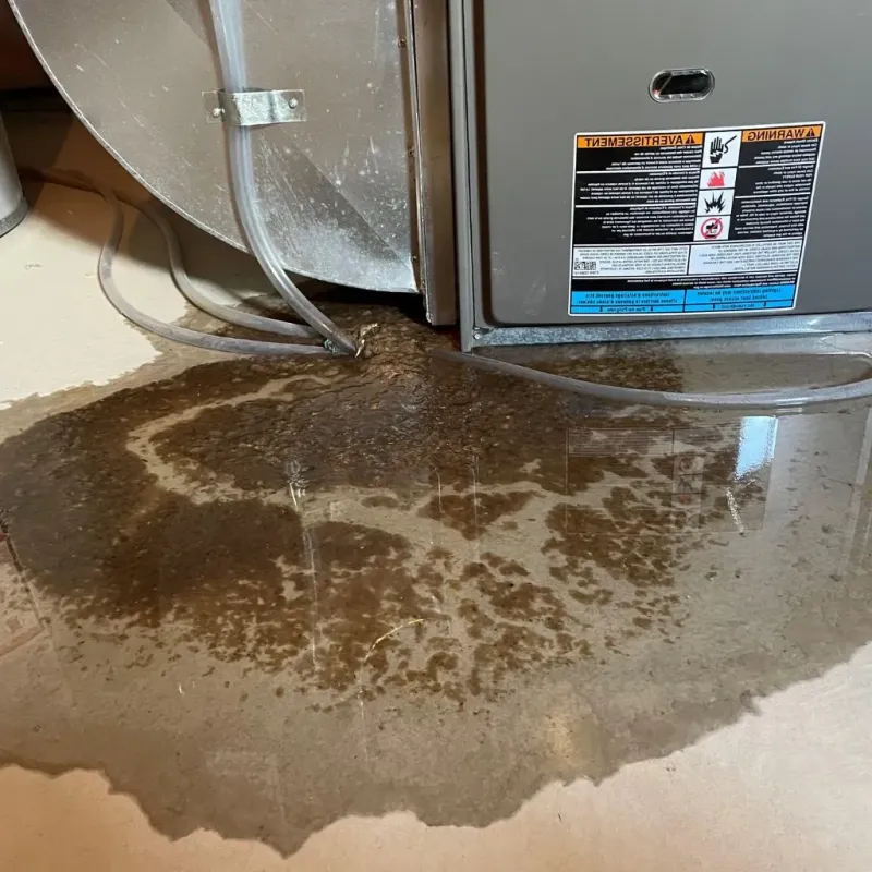 Pipe Burst and Leak Restoration in Jersey Village, TX
